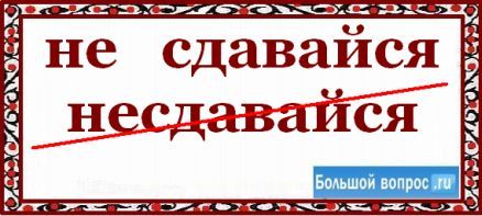 не сдавайся