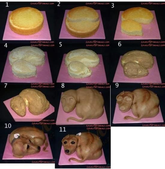 торт-собака своими руками поэтапно
