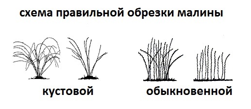 текст при наведении