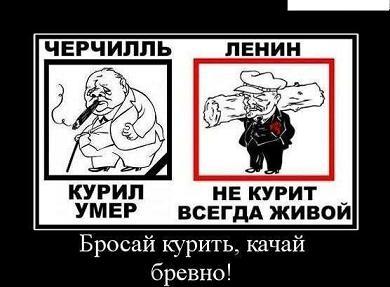 текст при наведении