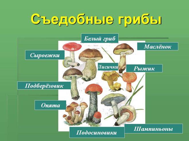 текст при наведении