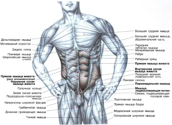 текст при наведении