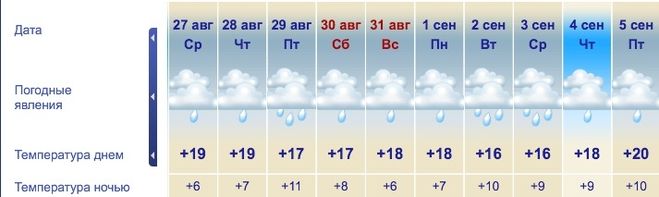 текст при наведении