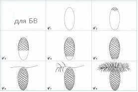 как нарисовать шишку
