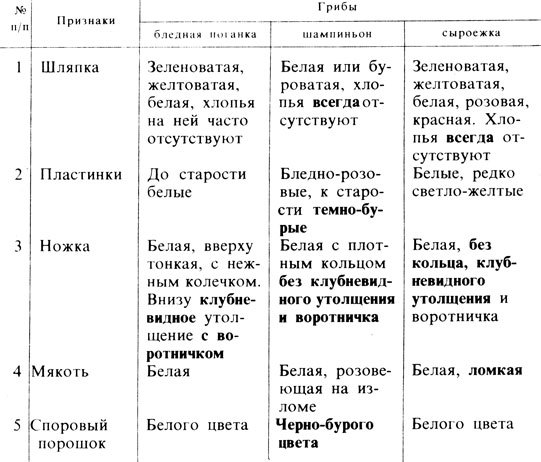 бледная поганка и шампиньоны сходства и различия