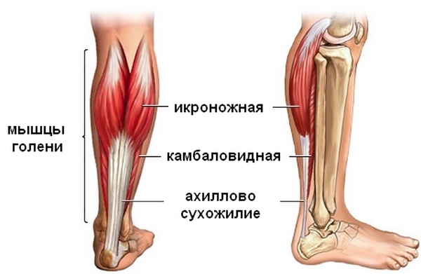 текст при наведении