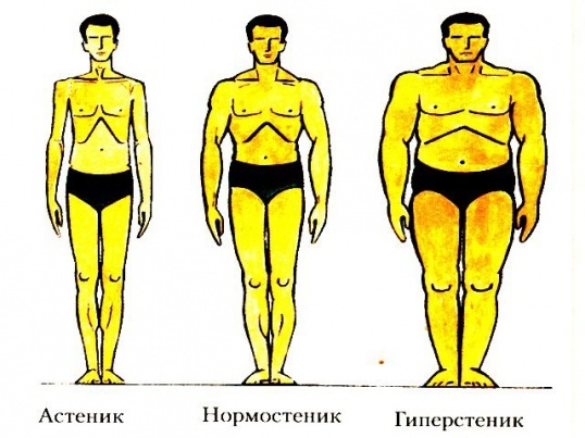 текст при наведении