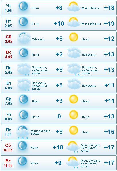 текст при наведении