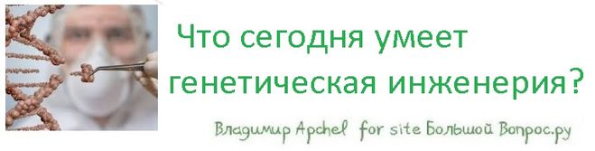 Что сегодня умеет генетическая инженерия?