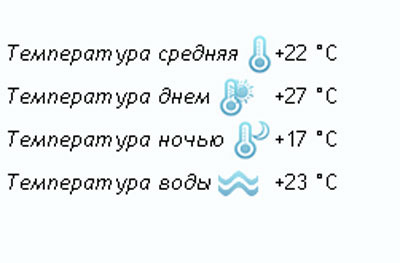 текст при наведении