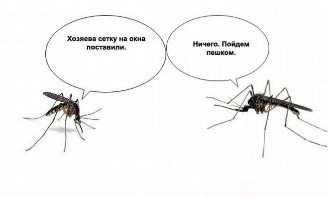 текст при наведении