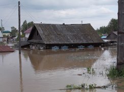 текст при наведении