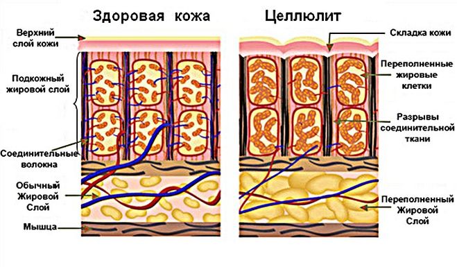 текст при наведении