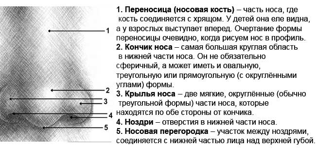 текст при наведении