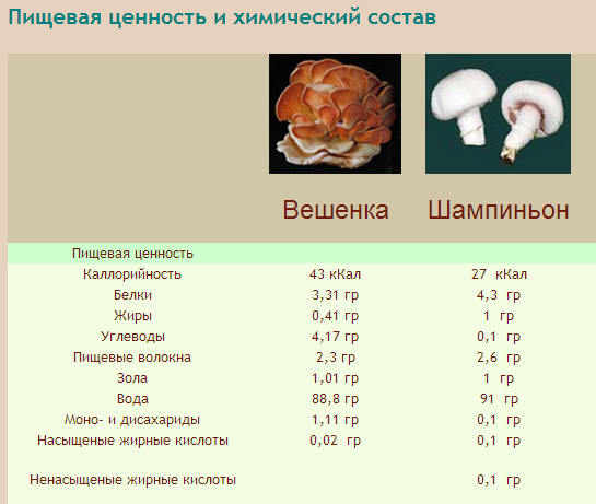 текст при наведении