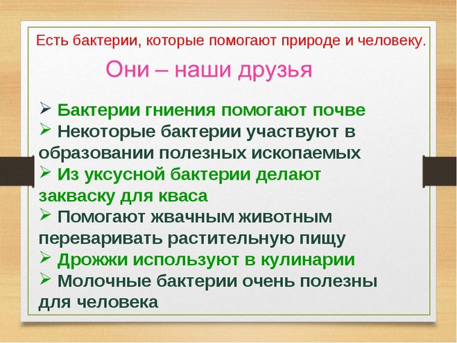 Микробы друзья или враги. Вспомни материал 2 класса представителей какого царства живых. Бактерии наши враги или друзья. Бактерии наши друзья и враги 3. Бактерии наши друзья и враги 3.