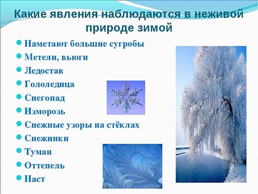 "Зима в неживой природе" окружающий мир