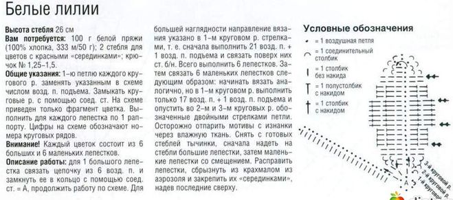 текст при наведении