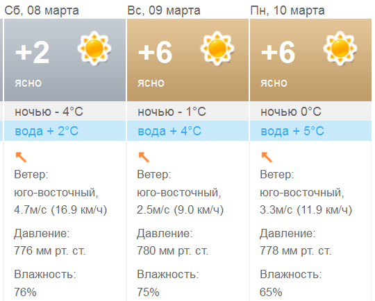 текст при наведении