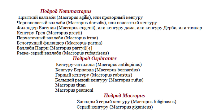 текст при наведении