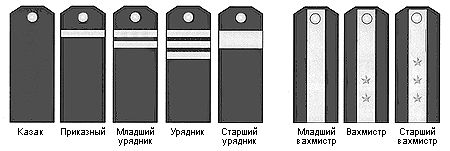 текст при наведении