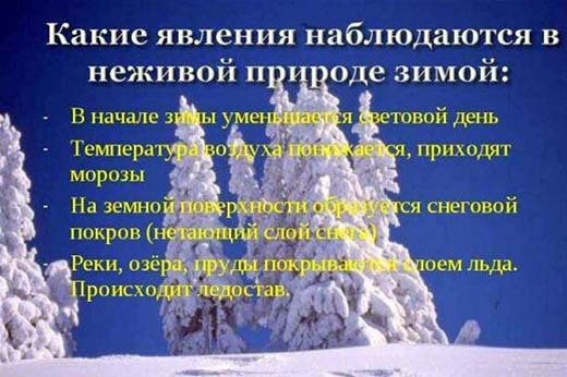 "Зима в неживой природе" окружающий мир