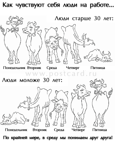 текст при наведении