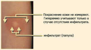 текст при наведении