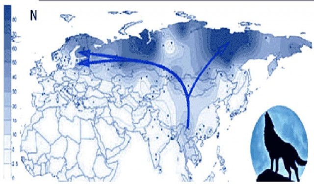 текст при наведении