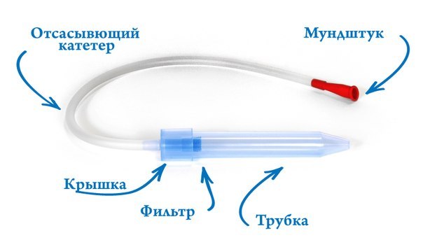 текст при наведении