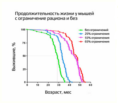 текст при наведении