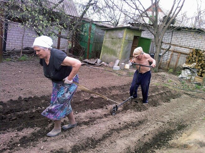 текст при наведении