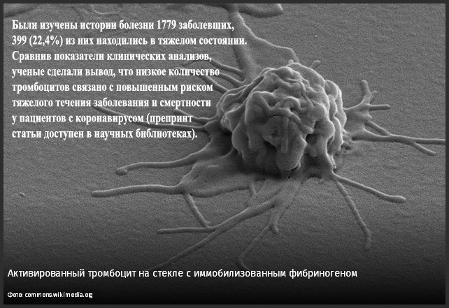 Что пишут в Известиях об уровне тромбоцитов?