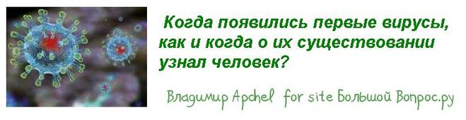 Когда появились первые вирусы, как и когда о их существовании узнал человек?