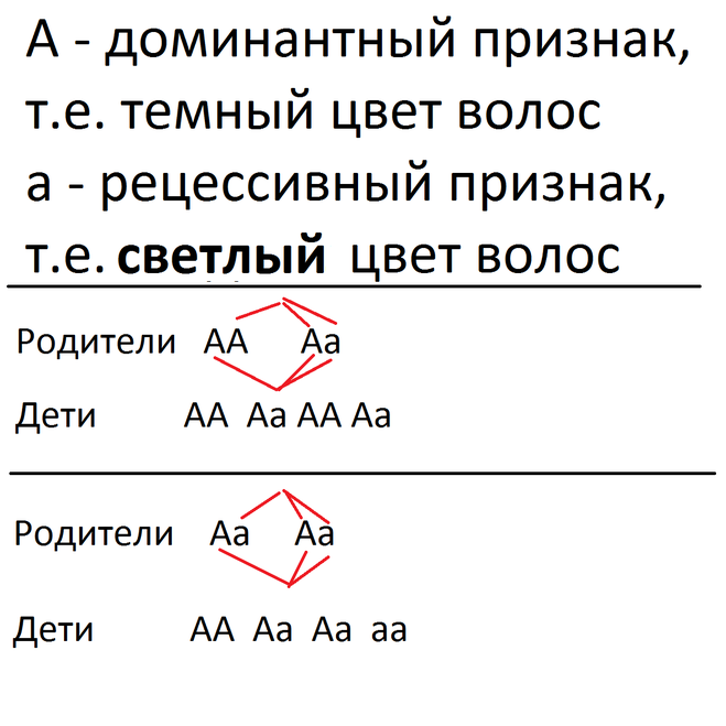 текст при наведении