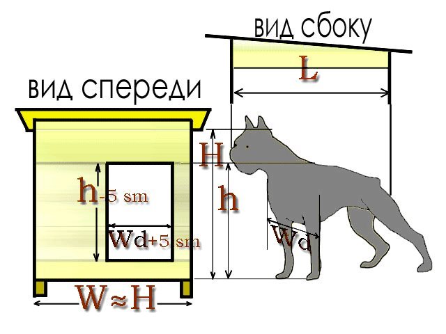 текст при наведении