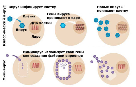 текст при наведении