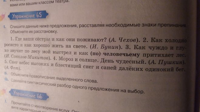 Нужна ли запятая в предложении: "Как чуждо и глухо звучит по лесу (см.)?