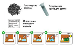 текст при наведении