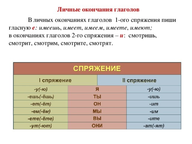 фото из интернета