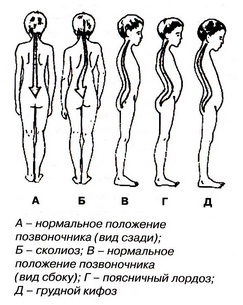 текст при наведении