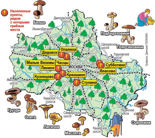 Карта грибных мест Московской области