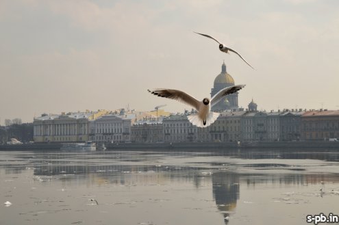 Санкт-Петербург