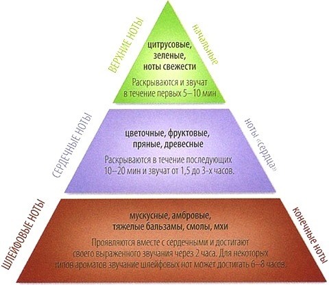 текст при наведении