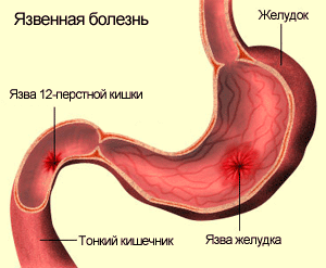 текст при наведении