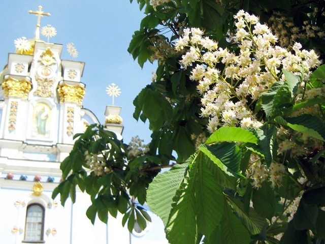 текст при наведении