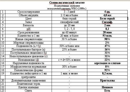 текст при наведении