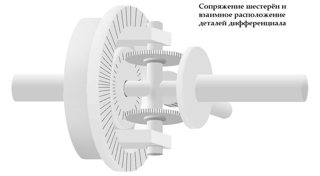 Дифференциал схематично