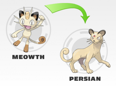 Мяут (Meowth)