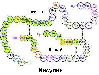 текст при наведении